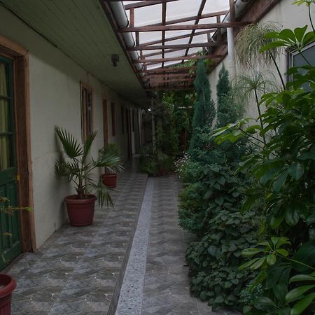 Hostel 1760 Talca (Maule) Exterior foto