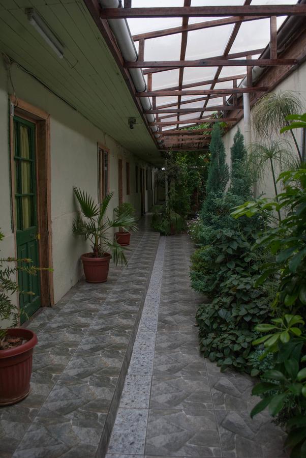 Hostel 1760 Talca (Maule) Exterior foto