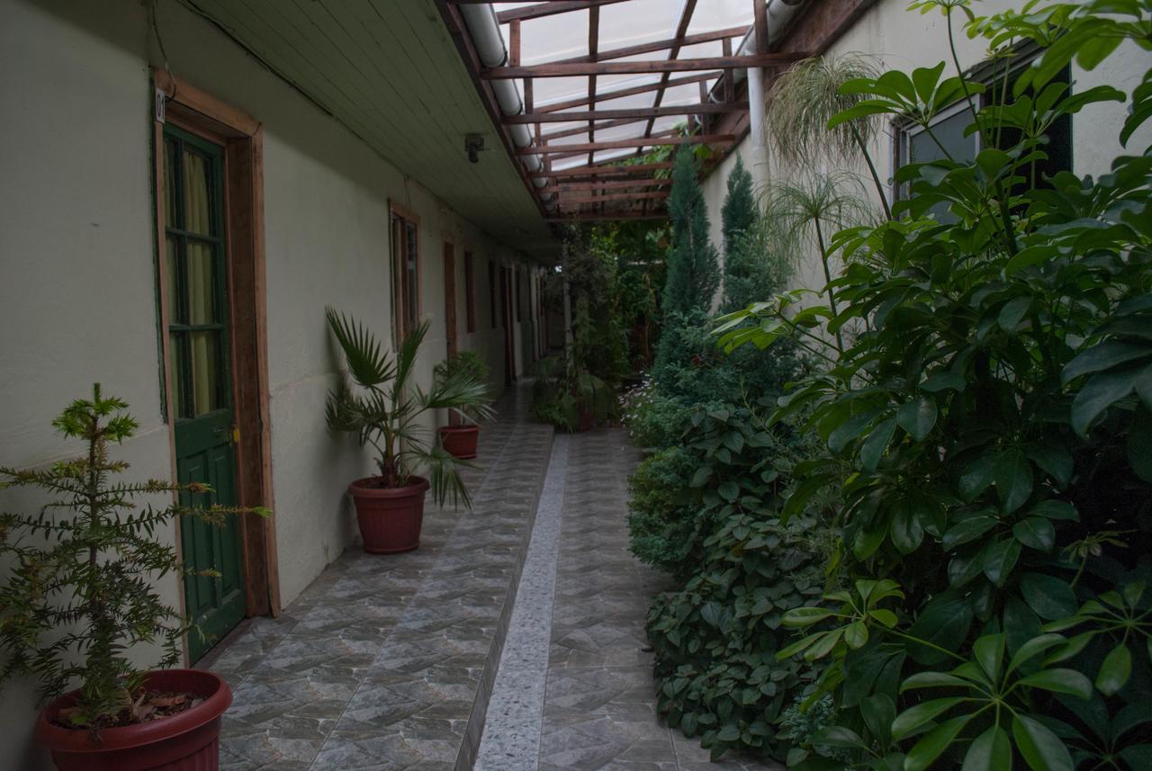 Hostel 1760 Talca (Maule) Exterior foto